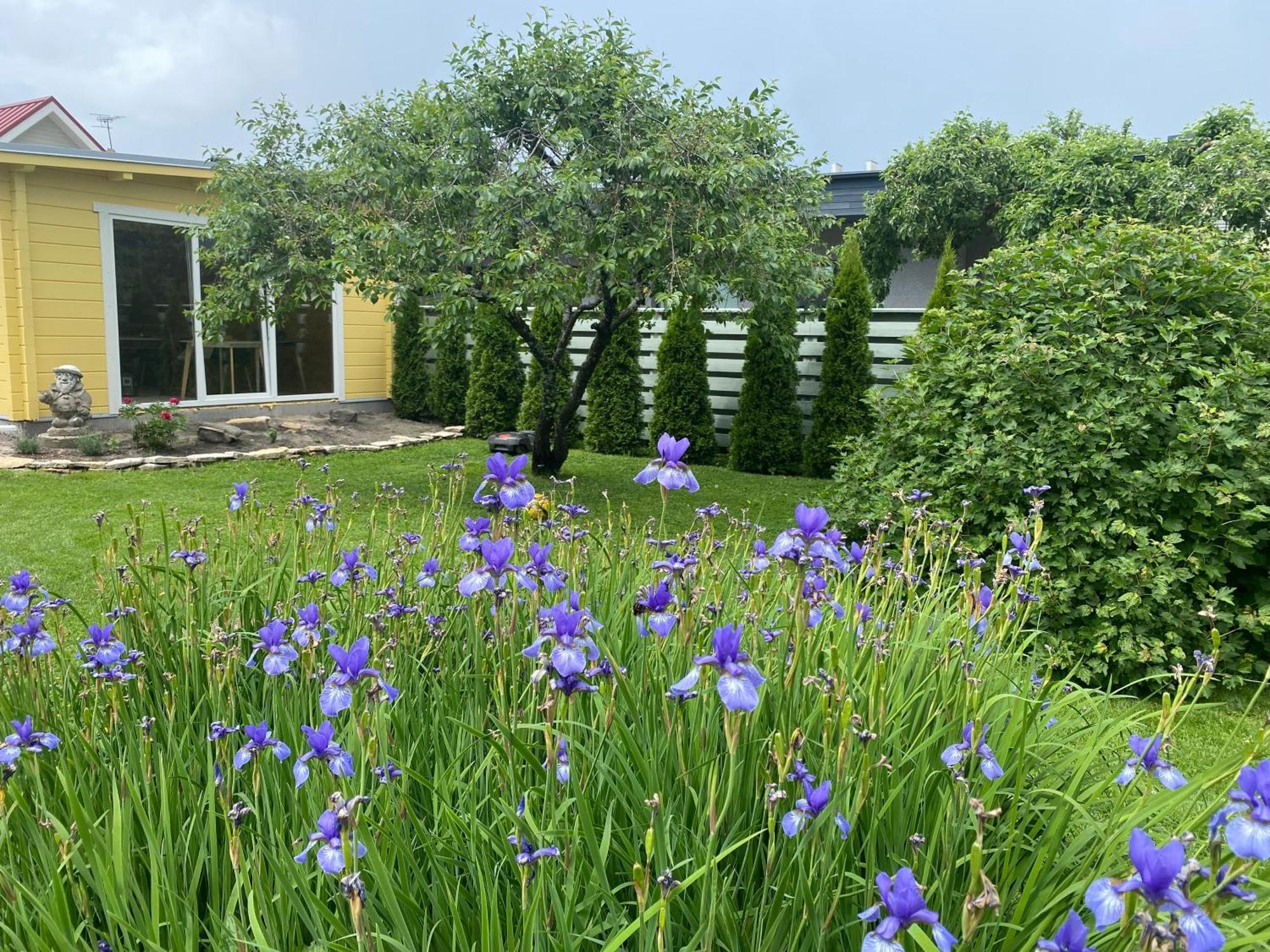Apartmán Ranna Majutus Pärnu Exteriér fotografie